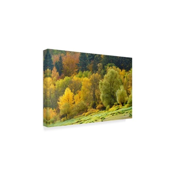 Cora Niele 'Autumn Trees' Canvas Art,16x24